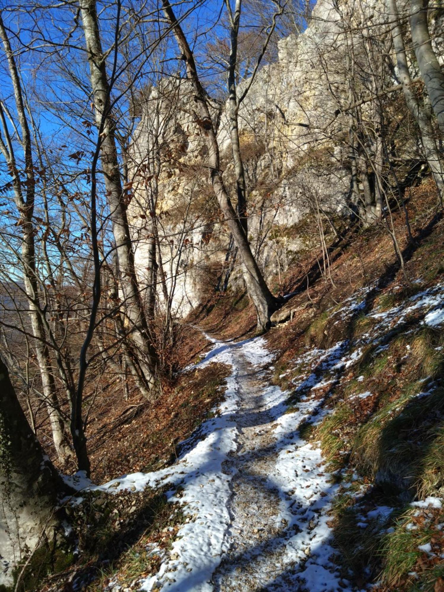 Ferienwohnung An Der Loipe Lichtenstein  Екстериор снимка
